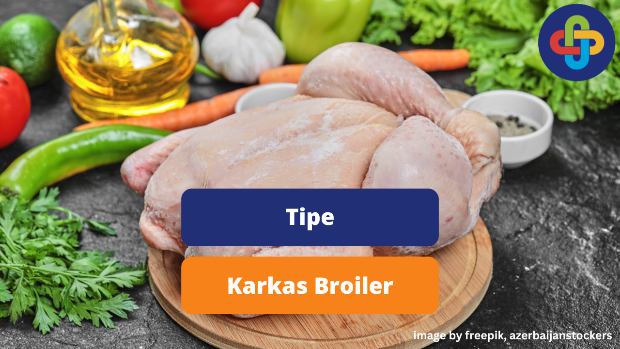 Ketahui Jenis Karkas Pada Ayam Broiler